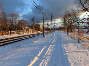 夕日の照る雪道