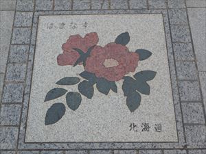 北海道のはまなすの花
