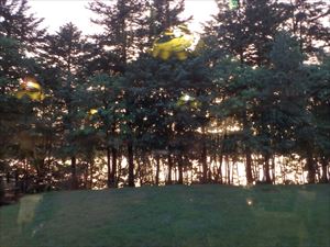 湖面に映るきれいな夕日