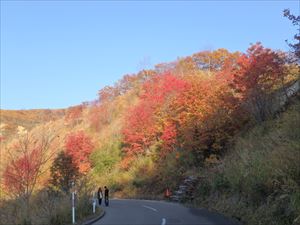 きれいな大湯沼への道