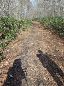 暖かな登山道