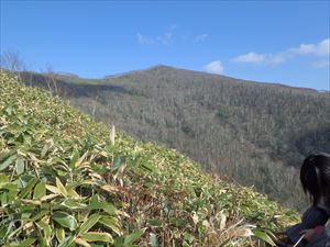 きれいな形の室蘭岳