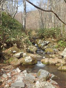 ペトトル川に到着 ほっとする