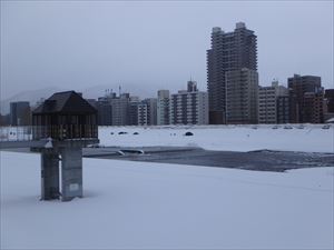 河川敷は雪が深くて 走りにくいので 豊平川通の歩道を 走る