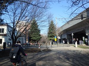 「札幌桑園停車場緑道」 というそうだ