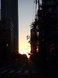 札幌の街並と朝焼け