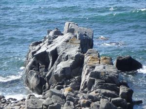 天売島は崖と岩が ごろごろ