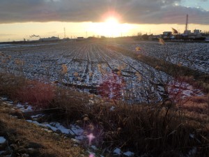 冬の田んぼと夕日 きれいだ