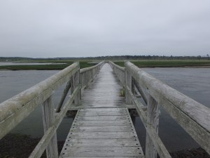 木道で湾を渡る