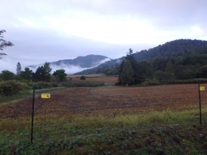 気温7度　紅葉が始まった