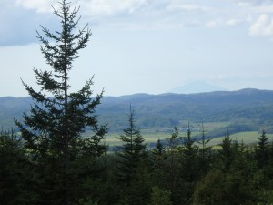 利尻山がやっと見えた！ 景色のいい峠に感激