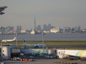 ザ・東京の眺望