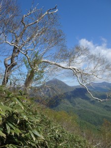 遠くにオロフレ山