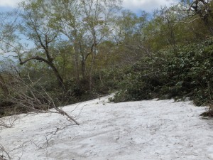 雪渓を下る 気分爽快