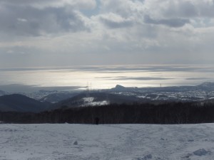 すっきりきれいな冬景色