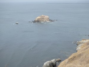 絵鞆岬から見える小島