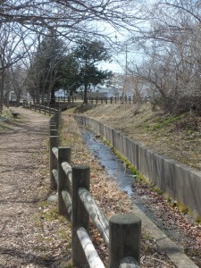 散歩のひとが数人