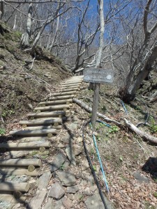 山道登山が始まった