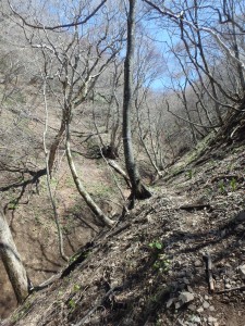 とても急な坂道を下る ちょっと怖い