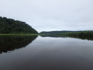 音は全く無い水面