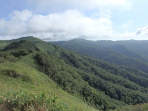 遠くに険しい山々