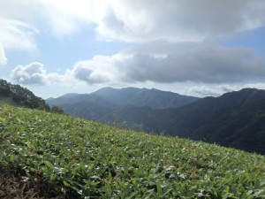 まだ日が射しているが 日が陰ると寒い