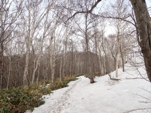 雪の上に足跡が残る登山道