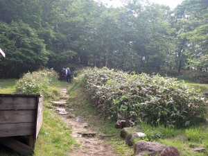 いよいよ本格的な登りだ