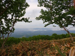 港だ　大黒島が見える