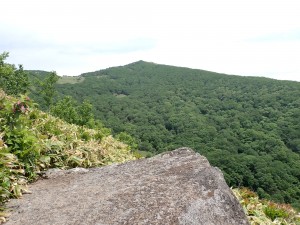 均整の取れた山容