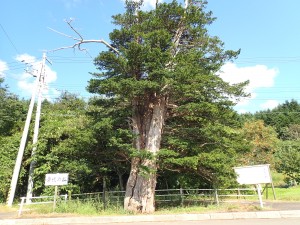 市街地近くにある