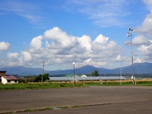 子猫が3匹、道路で寝ていた