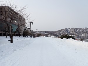 除雪したてだった