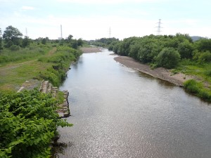 水面の風が気持ちいい