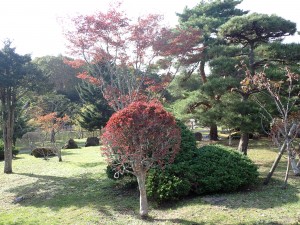 気持ちよく進む