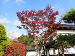 空気が澄んでいる