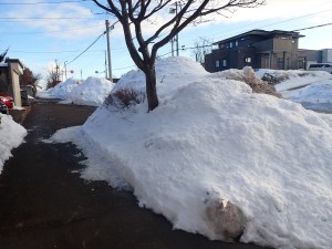 歩道の雪山