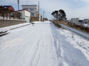 雪道を散歩