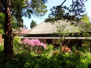 沢山の木々が茂る