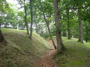 広い