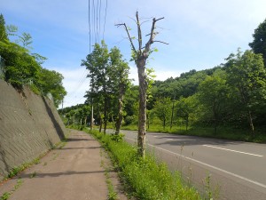 青空の下を歩く