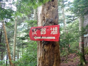 登山同様の登り