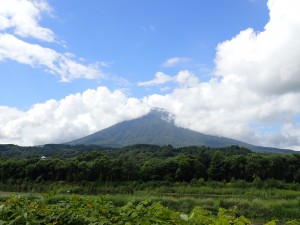 夏の山