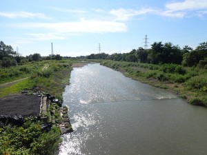 きれいな水面