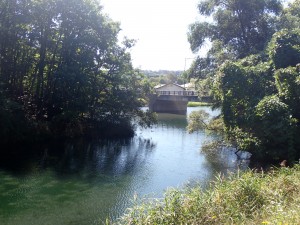 きれいな川面