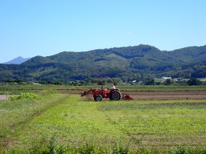 ご苦労様