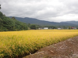 おいしくなあれ