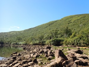 沢山の人が登る