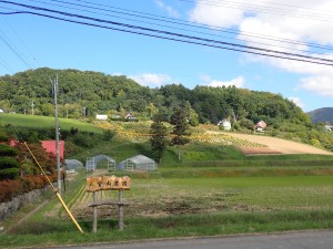 田園が気持ちいい