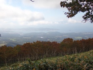 どんどん登る人々